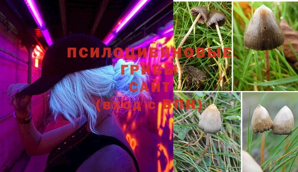 MDMA Premium VHQ Зеленодольск