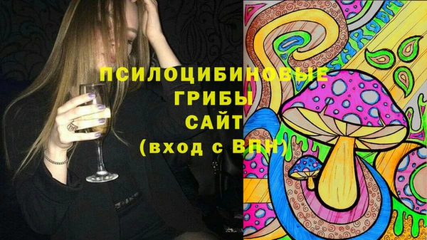 MDMA Premium VHQ Зеленодольск